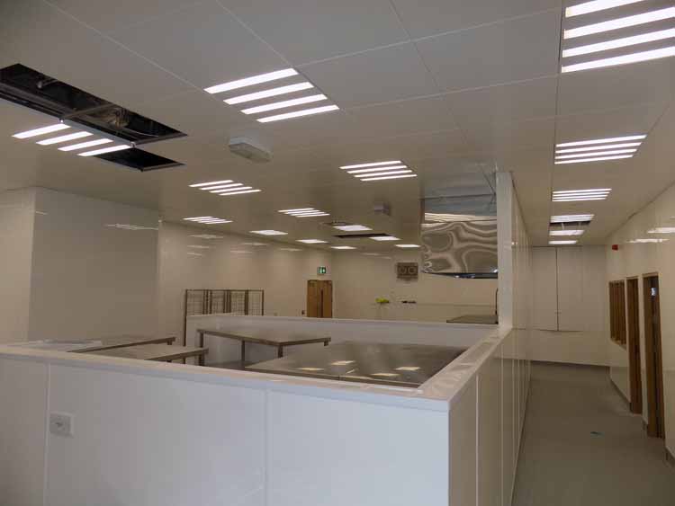 Merk Sharp & Dome Carlow Wall Hygiene